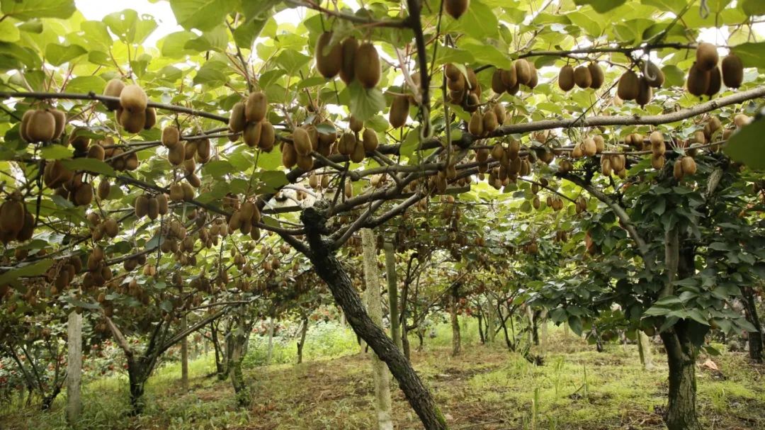 1c863fa11a726a0f2c394b94fc8869fc.jpg 1c863fa11a726a0f2c394b94fc8869fc.jpg