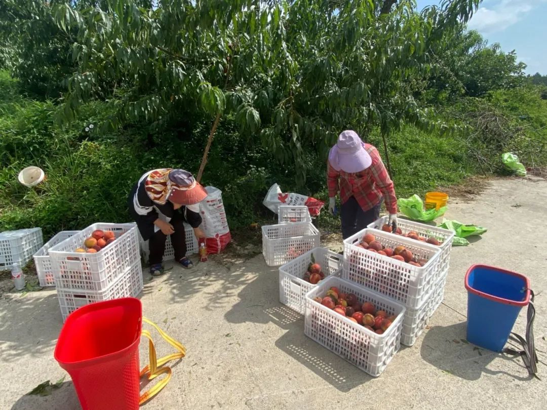 13f7aabe55d6f4fae0f29375a73d3cf3.jpg 13f7aabe55d6f4fae0f29375a73d3cf3.jpg