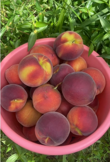 8eb44ca34afacdd2ffef21e691bb1db2.png 8eb44ca34afacdd2ffef21e691bb1db2.png