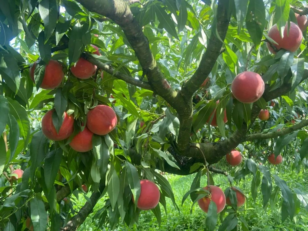 a8ef44e59acd9817abed8999e982f626.jpg a8ef44e59acd9817abed8999e982f626.jpg