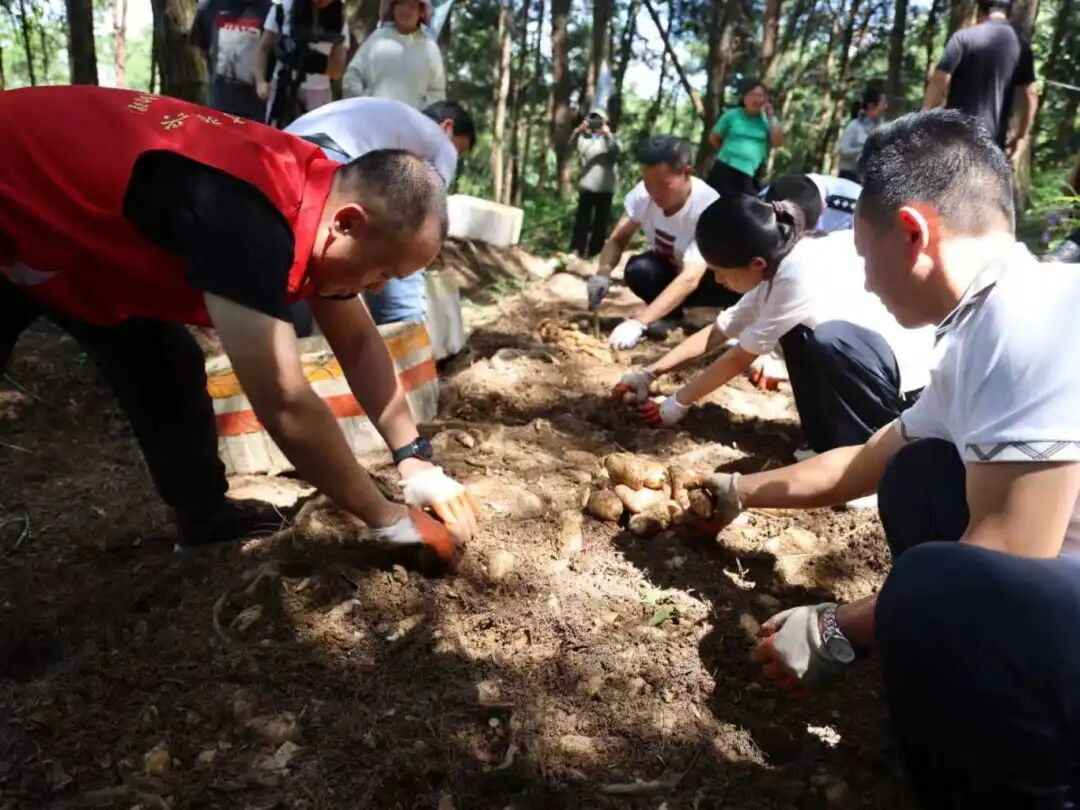 121f4f02db255fa6a92ce7d8072a8219.jpg 121f4f02db255fa6a92ce7d8072a8219.jpg