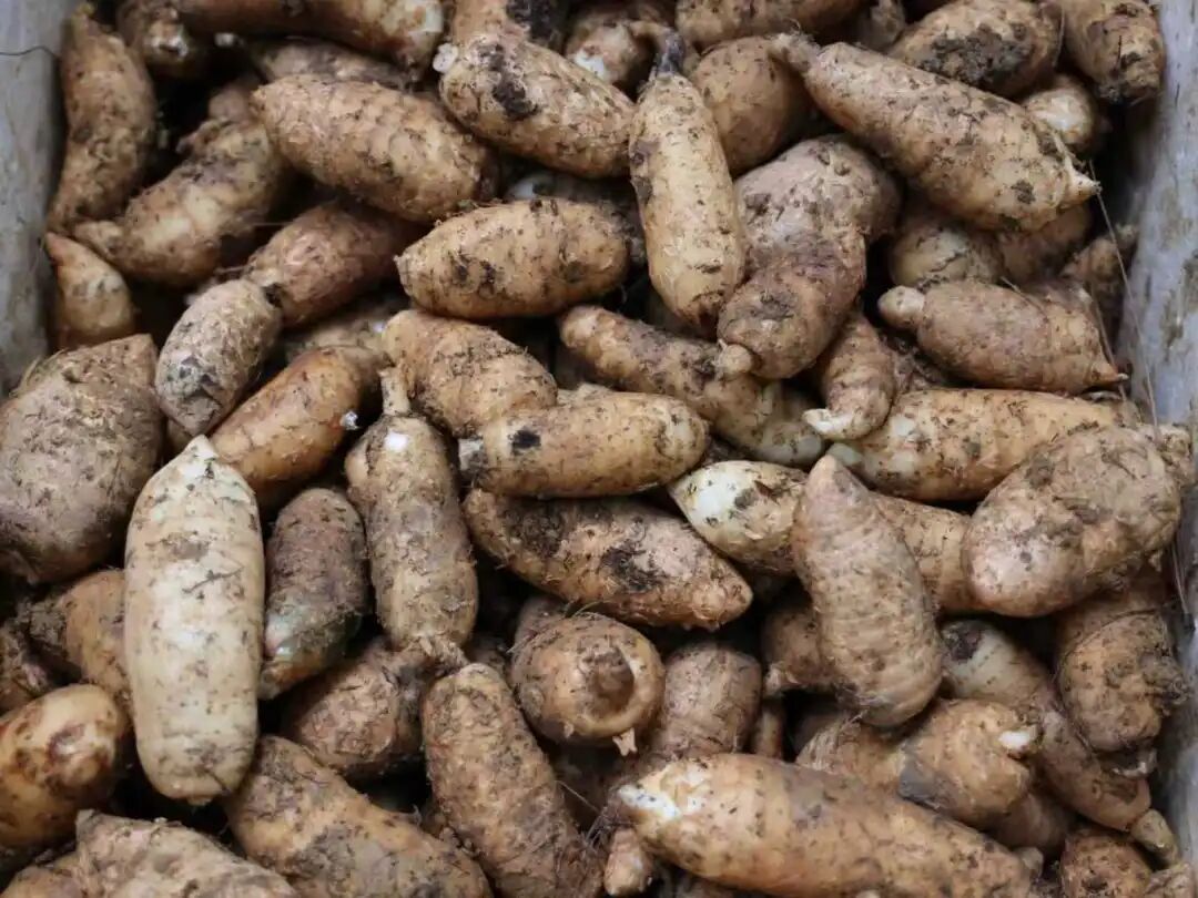 3ef31cda72f15e7cd1fab8c326854271.jpg 3ef31cda72f15e7cd1fab8c326854271.jpg