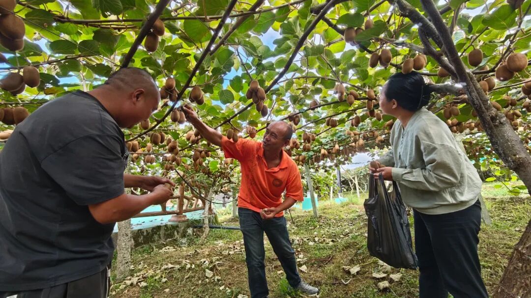 9ac8b323613764c42f17ee356e0aebc2.jpg 9ac8b323613764c42f17ee356e0aebc2.jpg