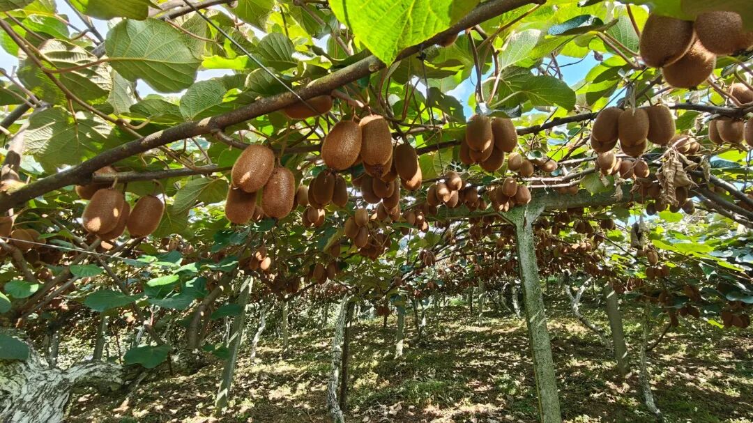 885c63a1b77238616859feadc8fd33e5.jpg 885c63a1b77238616859feadc8fd33e5.jpg