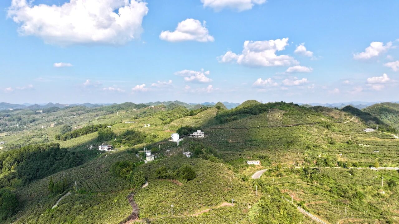 4f85e36269c556bcacda65e492eda519.jpg 4f85e36269c556bcacda65e492eda519.jpg