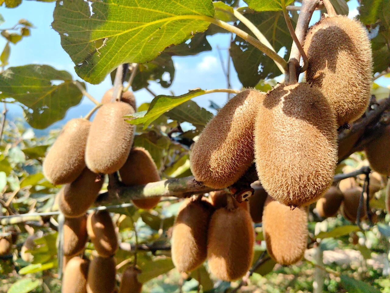 deaf87c4a91568d8a22f7e150539cdc6.jpg deaf87c4a91568d8a22f7e150539cdc6.jpg