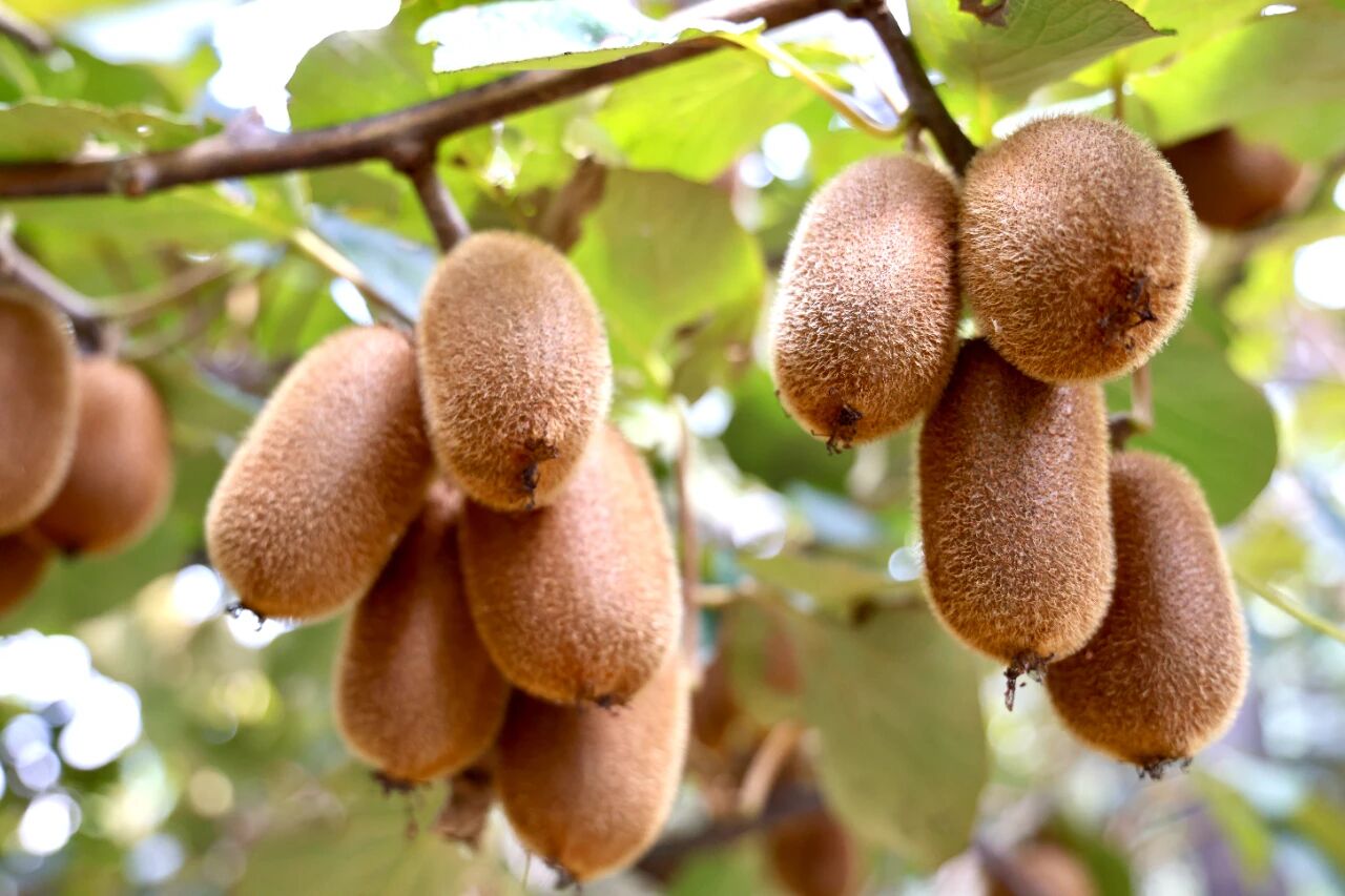 ea9d6bfb62a59b67f01fcafa4f5f0d74.jpg ea9d6bfb62a59b67f01fcafa4f5f0d74.jpg