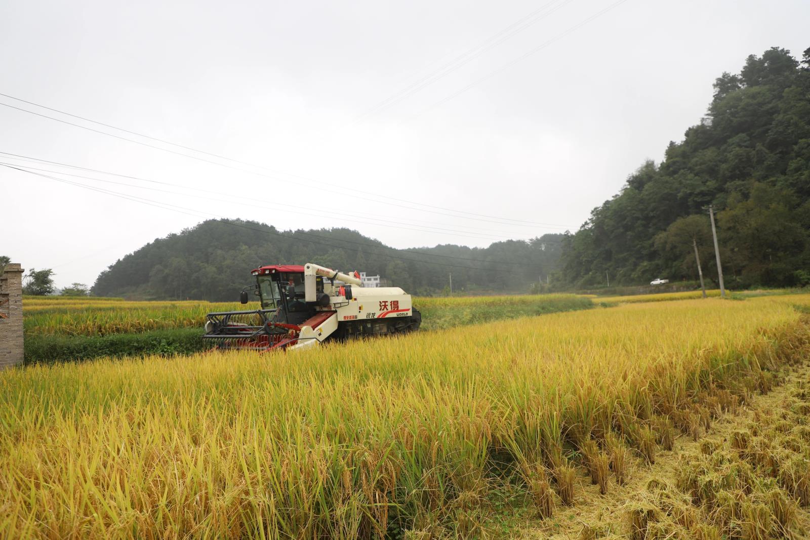 475257c104ab47a60c9f3460184bbaae.jpg 475257c104ab47a60c9f3460184bbaae.jpg