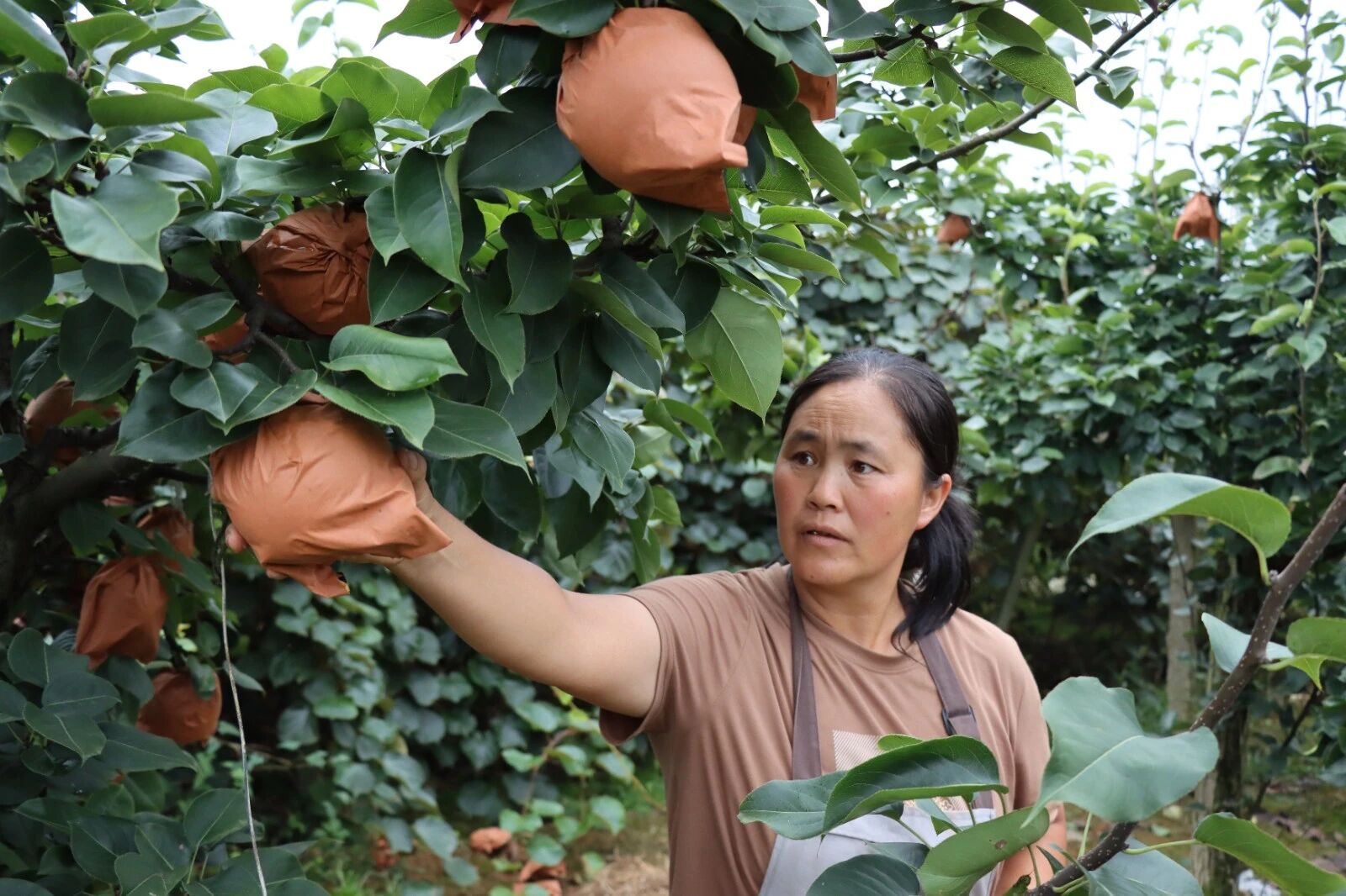 811631de3122859d3ee4d732e103a5cc.jpg 811631de3122859d3ee4d732e103a5cc.jpg