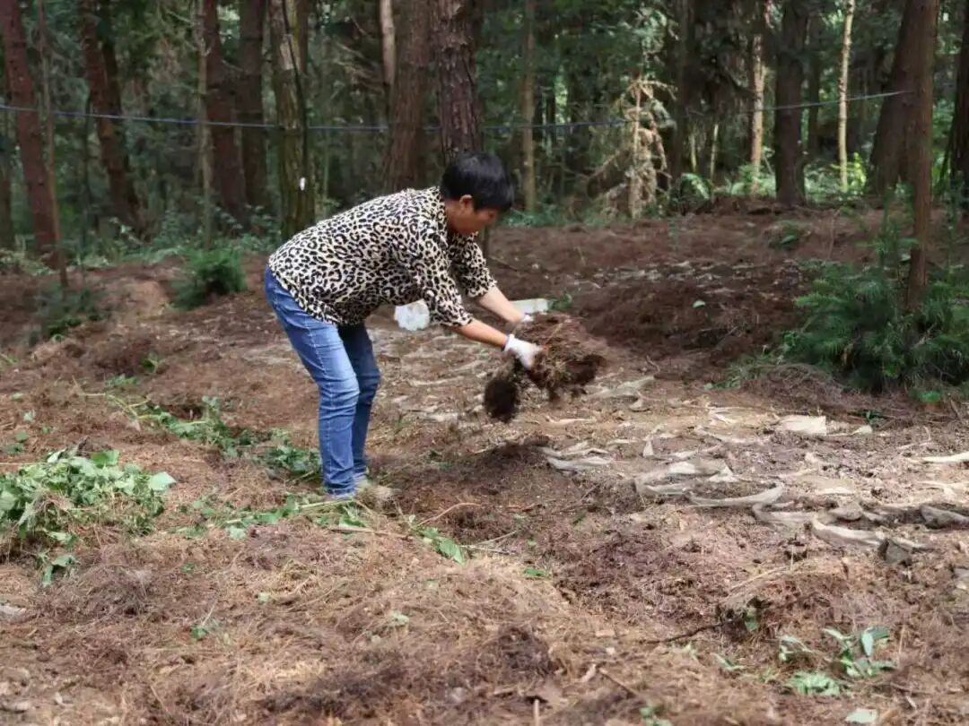 bd38bcc6845598ab6936409b2eb602f5.jpg bd38bcc6845598ab6936409b2eb602f5.jpg