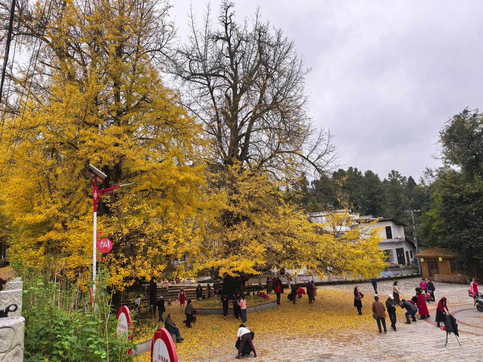 b8539a8a5f2348c3417fac40e247575f.jpg b8539a8a5f2348c3417fac40e247575f.jpg