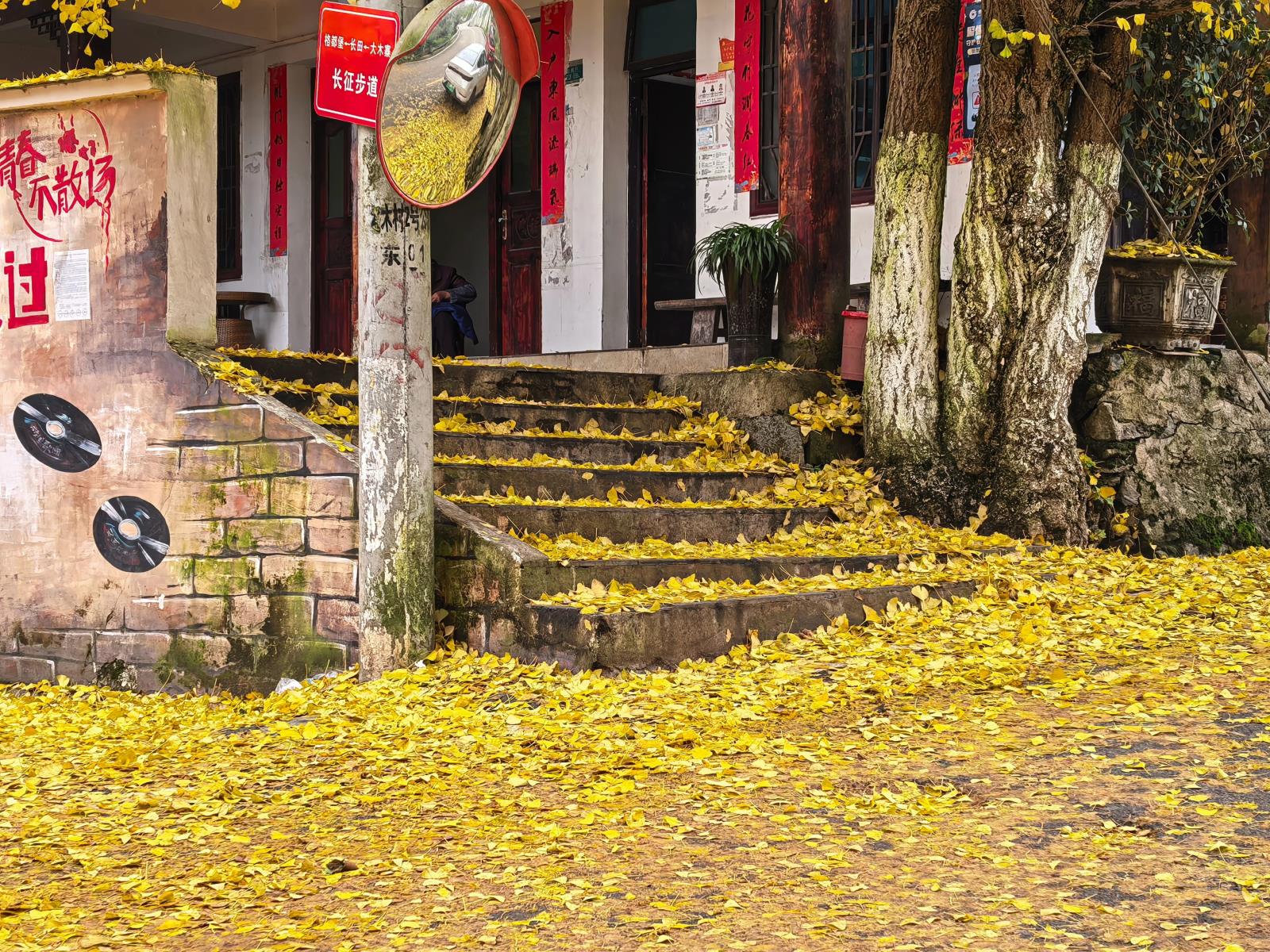 78e6fc71f36d1a20736ba858550f6914.jpg 78e6fc71f36d1a20736ba858550f6914.jpg