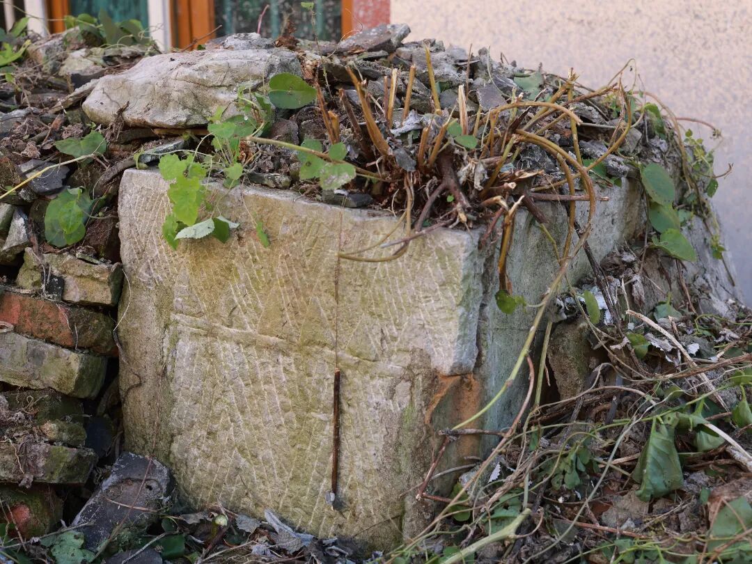 f368ea39c1a6a6a9eeeed44d29b6e8b5.jpg f368ea39c1a6a6a9eeeed44d29b6e8b5.jpg