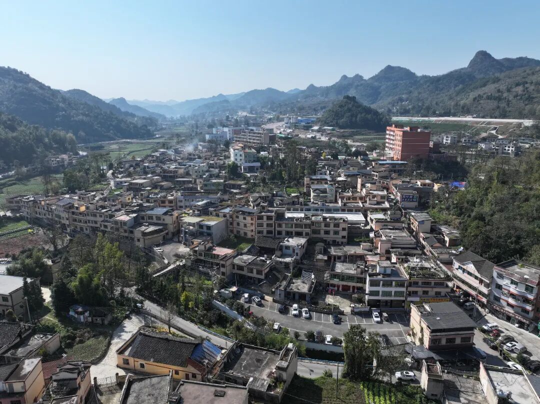 adede81145f8ee82d7d540ada17d5289.jpg adede81145f8ee82d7d540ada17d5289.jpg