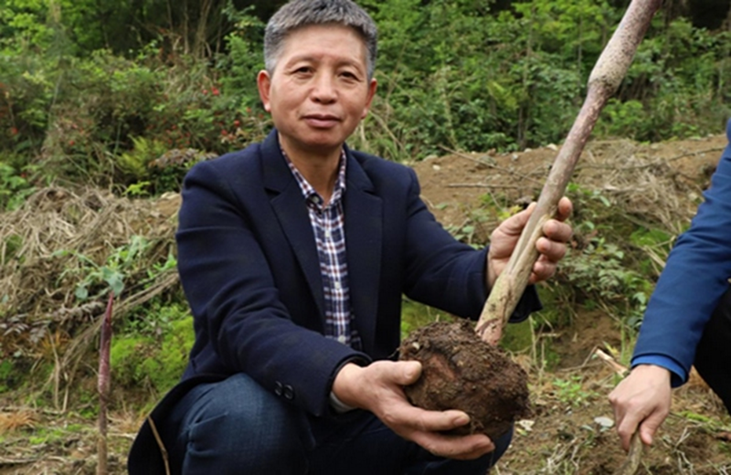 159660ffd746fa2c564783392f491ed7.png 159660ffd746fa2c564783392f491ed7.png